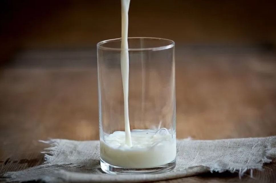 Обнаружено необычное свойство белкового коктейля. Читайте на UKR.NET