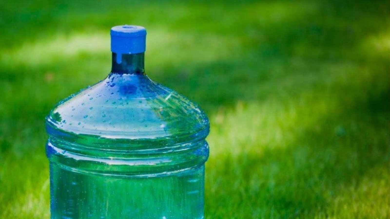 Насыпать и потрясти: Как почистить емкости от зеленого налета без химии