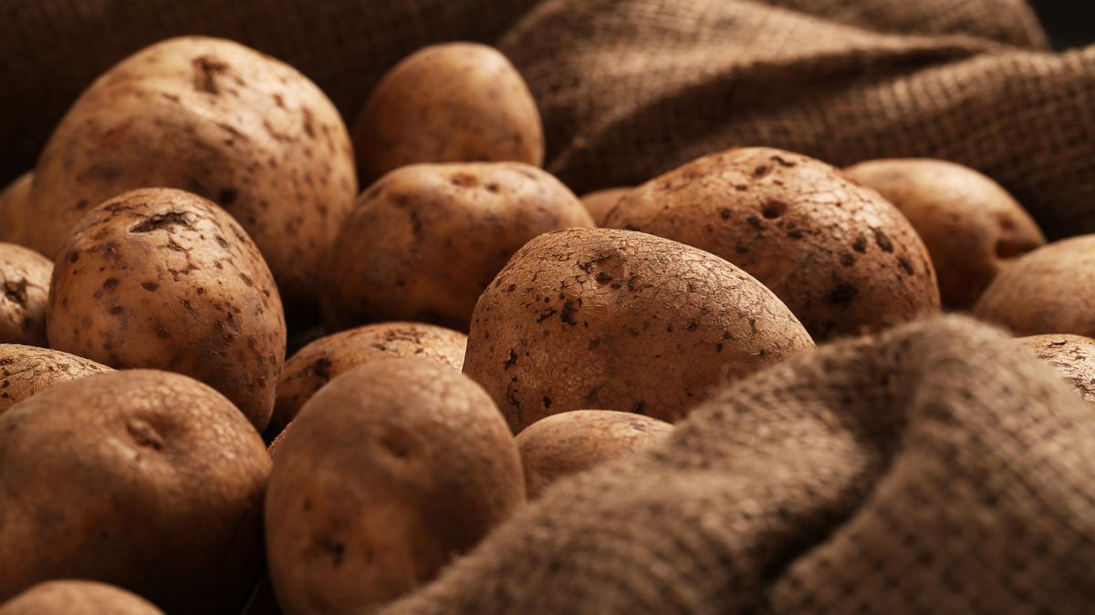 З яким продуктом не можна зберігати картоплю, щоб не зіпсувався швидше