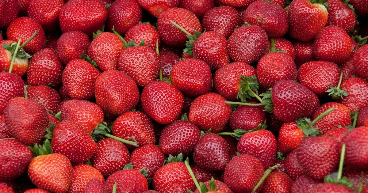 Ці ягоди можна їсти без обмежень: тренер назвав продукти, які допоможуть вам схуднути