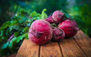 Корнеплод, который наладит работу почек не хуже, чем дорогие лекарства