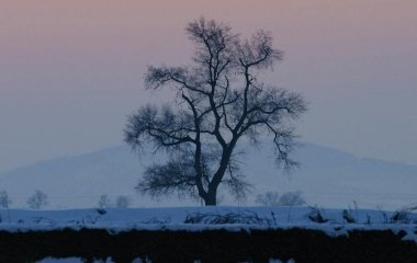 День ангела 3 лютого: кого та як вітати з іменинами