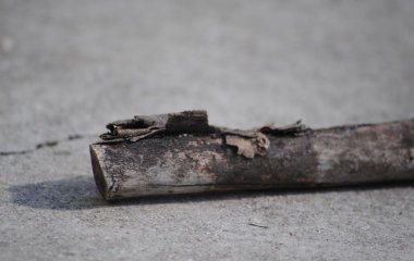 Чоловіка та жінку покарали 140 ударами палицею за інтим: що вони зробили