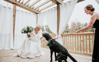 Девушка решила необычным способом начать свою свадьбу, сделав фотосессию со своей собакой