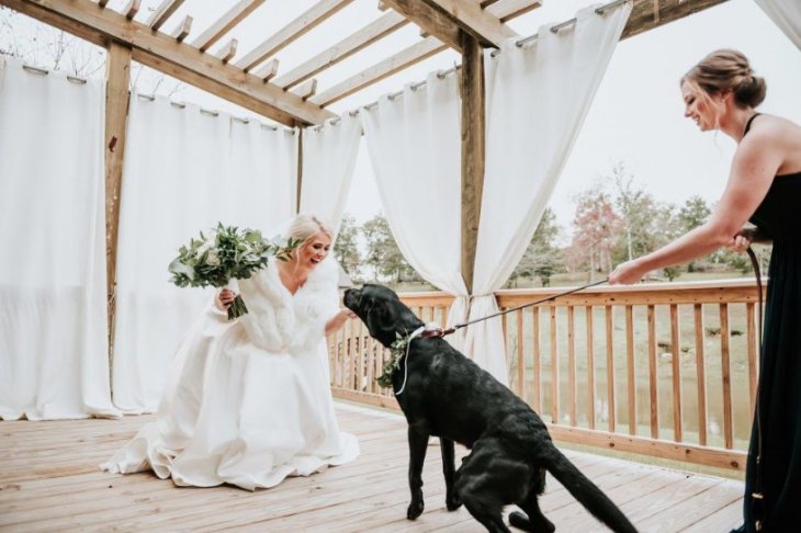 Девушка решила необычным способом начать свою свадьбу, сделав фотосессию со своей собакой