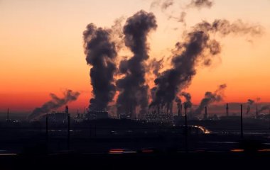 П'ять способів очистити легені для мешканців міст