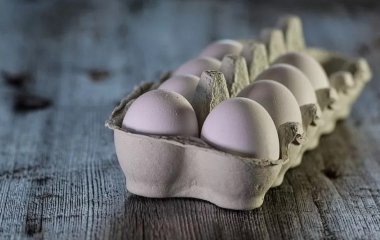 Дієтолог назвала п'ять продуктів із високим вмістом цинку
