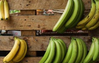 Як вибрати найсмачніші банани, розповіли китайські садівники.