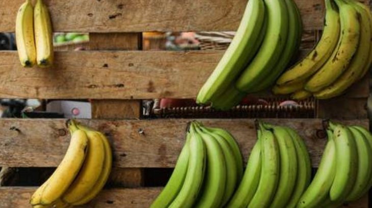 Як вибрати найсмачніші банани, розповіли китайські садівники.