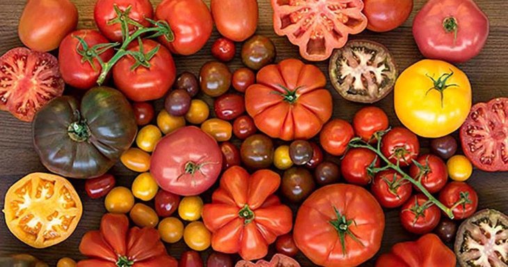 Ранні низькорослі сорти помідорів: якіщо їх посіяти у березні, врожай збиратиме у травні