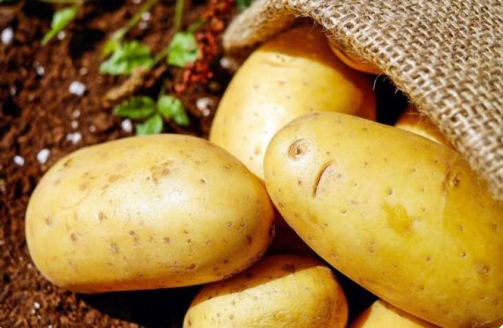 Ученые назвали лечебные свойства картофеля