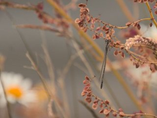 День ангела 14 серпня: кого та як вітати з іменинами