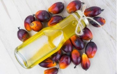 Какое растительное масло повышает холестерин в крови и вредит здоровью