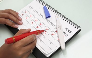 Все, що потрібно знати про овуляцію