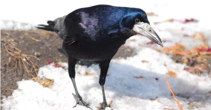 Народні прикмети про погоду: на що звернути увагу у березні