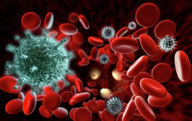 Вчені з'ясували, що формується тривалий імунітет до COVID-19