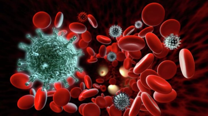 Вчені з'ясували, що формується тривалий імунітет до COVID-19