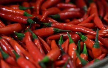 Щодня 5 тонн чилі: китаєць зізнався, навіщо годує риб пекучим перцем