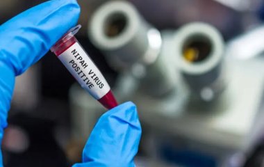 В Індії зафіксували спалах небезпечного вірусу Nipah, від якого немає вакцини