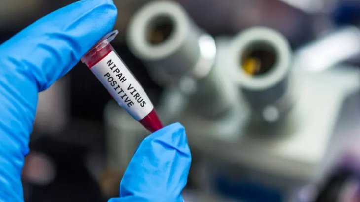 В Індії зафіксували спалах небезпечного вірусу Nipah, від якого немає вакцини