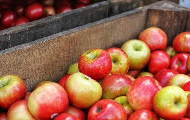Ученые рассказали, почему полезно съедать 2 яблока в день