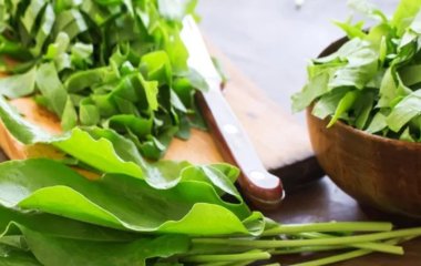 Как заготовить щавель на зиму за 10 минут: самый простой способ