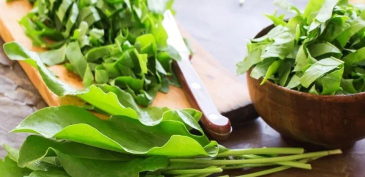 Как заготовить щавель на зиму за 10 минут: самый простой способ