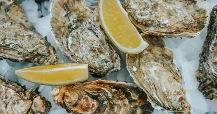 Сім найкорисніших морепродуктів для серця та мозку: що варто додати до раціону