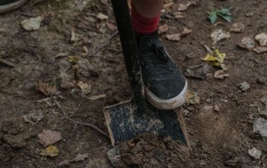 Дві таблетки на відро води — чудодійний розчин від всіх хвороб та шкідників городу