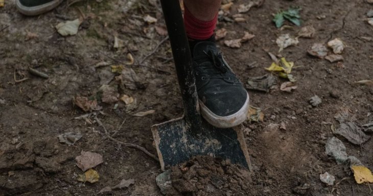 Дві таблетки на відро води — чудодійний розчин від всіх хвороб та шкідників городу
