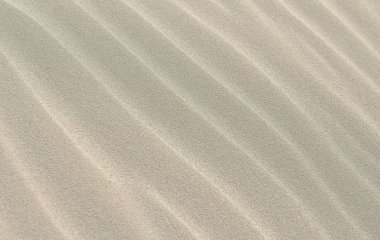 Ученые обнаружили у песка лечебные свойства