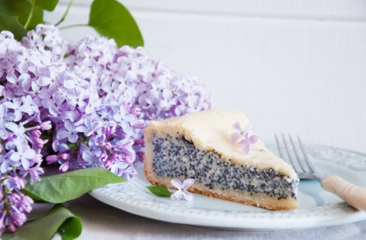 Сирна питайя: швидкий рецепт макової запіканки