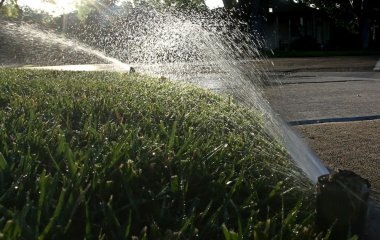 Жодних вил і хімії: експерт розповів, як врятувати вигорілий газон у спеку