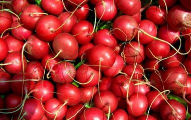Медики назвали популярный корнеплод, который обеспечивает долголетие