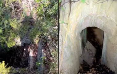 Чоловік знайшов посеред лісу сходи та зробив моторошне відкриття: що було під землею (відео)