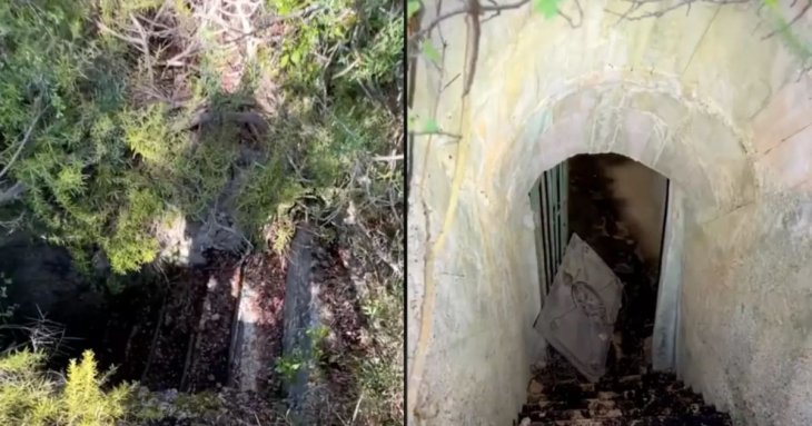 Чоловік знайшов посеред лісу сходи та зробив моторошне відкриття: що було під землею (відео)