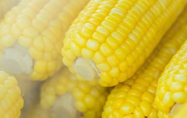 Які овочі містять велику кількість цукру