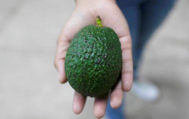 Нутриціолог назвала продукти для ідеального сніданку