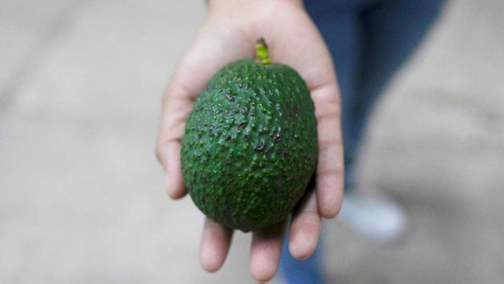 Нутриціолог назвала продукти для ідеального сніданку