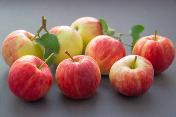 Медики розповіли про користь яблучної шкірки