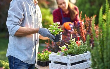 Злая красота: цветы, рядом с которыми ничего не растет