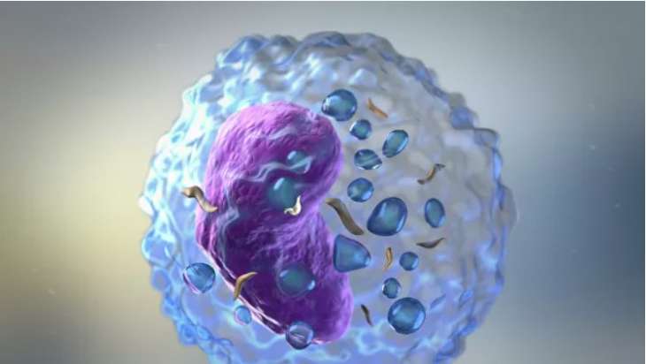 Ученые узнали, почему иммунотерапия рака не всегда эффективна