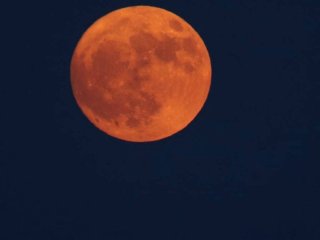 На небі з’явиться гігантський Оленячий Місяць: астрономи назвали точну дату
