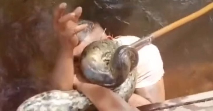 Сміливець укусив велетенську анаконду, яка намагалася його з'їсти (фото)