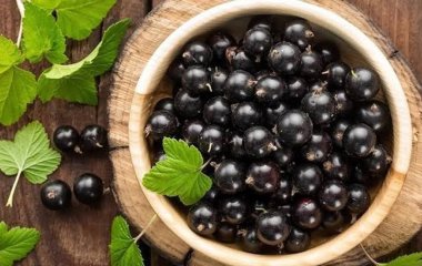 Що буде з організмом, якщо їсти чорну смородину щодня: результати та наслідки