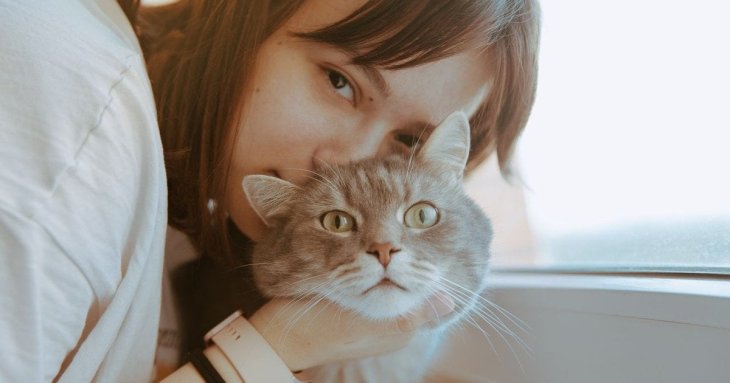 Шість порід котів, які чудово ладнають із дітьми: найлагідніші улюбленці