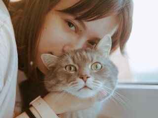 Шість порід котів, які чудово ладнають із дітьми: найлагідніші улюбленці