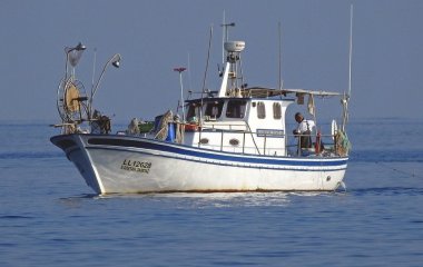 Чоловік чотири години бився з величезною рибою і встановив новий рекорд