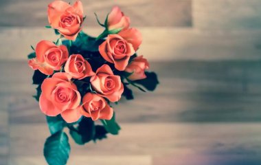 Розы любят водку: как продлить жизнь букетам