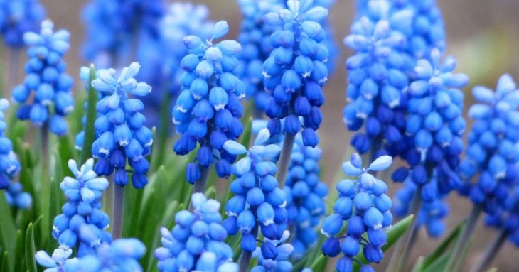 День ангела 25 березня: кого та як вітати з іменинами